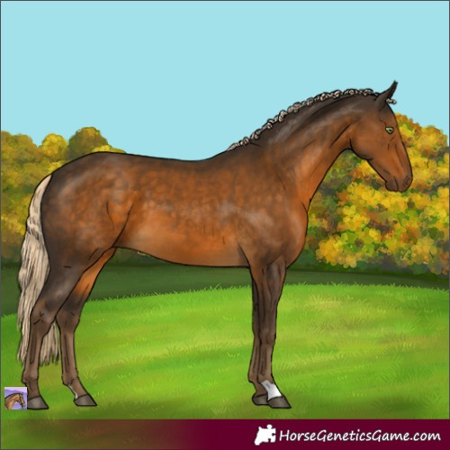 Horse Color:Chocolate Palomino