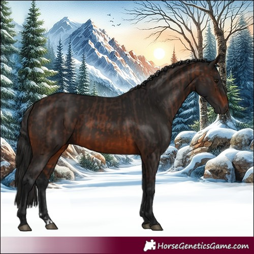 Horse Color:Brown Rabicano and Gray Brown Rabicano