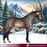 Horse Color:Brown Rabicano  and Gray Brown Rabicano 