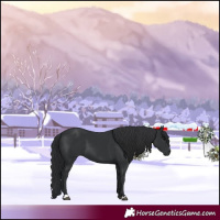 Horse Color:Black 