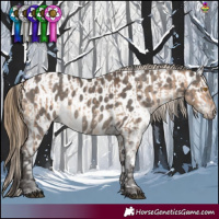 Horse Color:White Spotted Bay Dun  and Smoky Grullo Appaloosa 