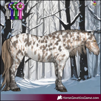 Horse Color:White Spotted Bay Dun  and Smoky Grullo Appaloosa 