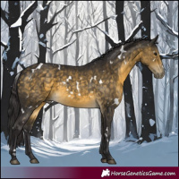 Horse Color:White Spotted Buckskin 