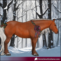 Horse Color:Silver Bay and Silver Bay
