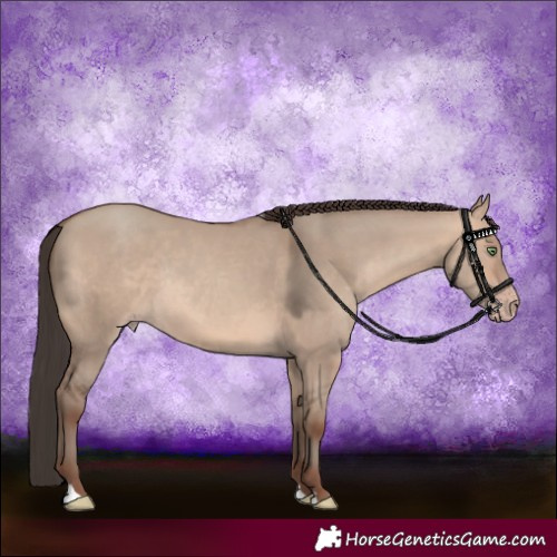 Horse Color:Sable Champagne Dun Rabicano 