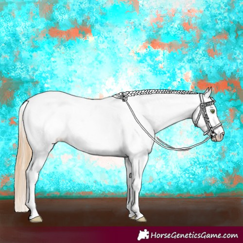 Horse Color:White Spotted Gold Champagne Dun Splash Appaloosa 