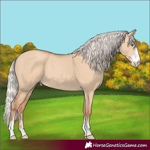 Horse Color:Silver Classic Champagne Dun Sabino 