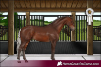 Horse Color:Silver Bay 