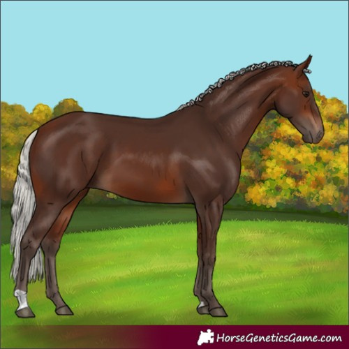 Horse Color:Silver Brown 