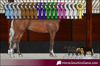 Horse Color:Silver Brown 