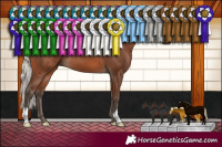 Horse Color:Silver Brown 