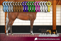 Horse Color:Silver Brown 