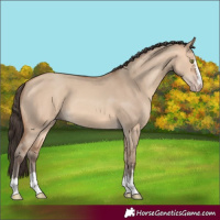 Horse Color:Amber Champagne Dun 
