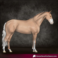 Horse Color:Silver Classic Champagne Sabino 