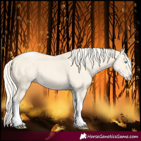 Horse Color:Cremello Dun Tobiano