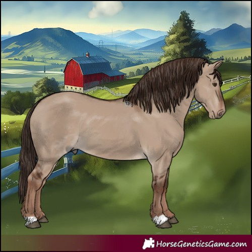 Horse Color:Liver Red Dun 