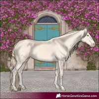 Horse Color:Perlino 