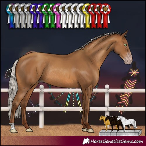 Horse Color:Gray Silver Amber Champagne Rabicano