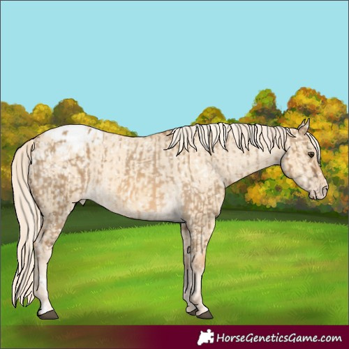 Horse Color:Chocolate Palomino Dun Snowflake Varnish and Gold Cream Champagne Dun Snowflake Varnish