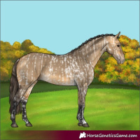 Horse Color:Buckskin Dun Snowflake Varnish  and Buckskin Dun 