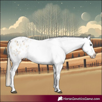 Horse Color:Buckskin Dun Snowflake Varnish  and Buckskin Pearl Dun Snowflake Varnish 