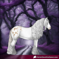Horse Color:Chocolate Palomino Dun Splash Snowflake Varnish  and Chocolate Palomino Dun Splash Snowflake Varnish 