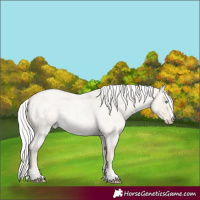 Horse Color:Silver Smoky Creme Roan Dun 