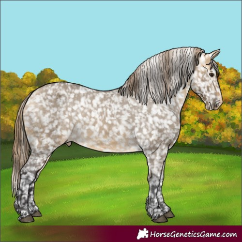 Horse Color:Buckskin Dun Appaloosa  and Buckskin Dun Appaloosa 