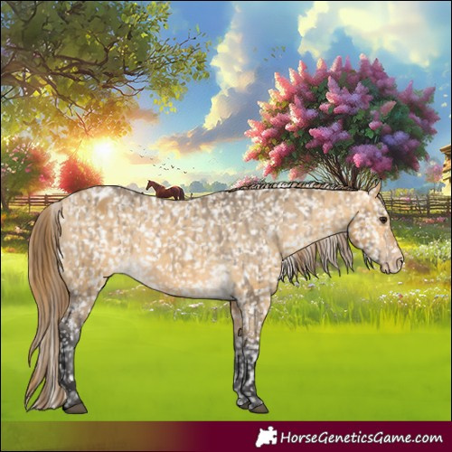 Horse Color:Buckskin Dun Appaloosa  and Buckskin Dun Appaloosa 