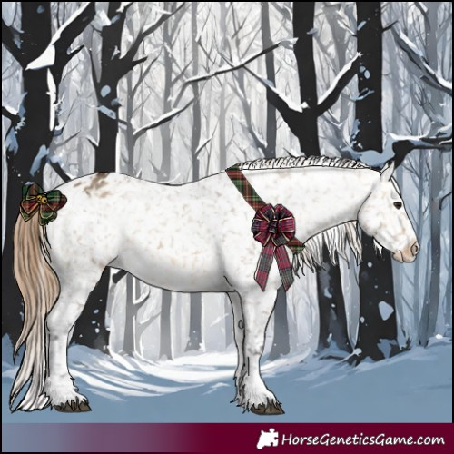 Horse Color:Buckskin Dun Appaloosa  and Buckskin Dun Appaloosa 