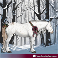 Horse Color:Buckskin Dun Snowflake Varnish  and Buckskin Dun Snowflake Varnish 
