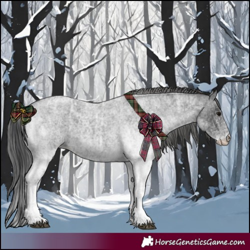 Horse Color:White Spotted Blue Roan Rabicano and White Spotted Blue Roan Appaloosa Rabicano