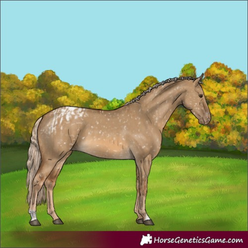 Horse Color:Chocolate Palomino Dun Snowflake Varnish  and Chocolate Palomino Dun Snowflake Varnish 