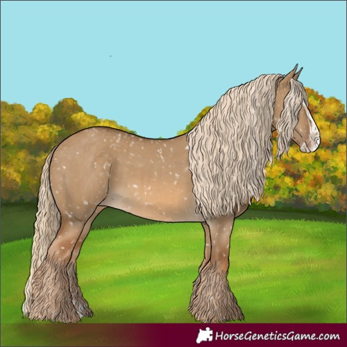 Horse Color:Chocolate Palomino Dun Appaloosa and Chocolate Palomino Dun Splash Appaloosa