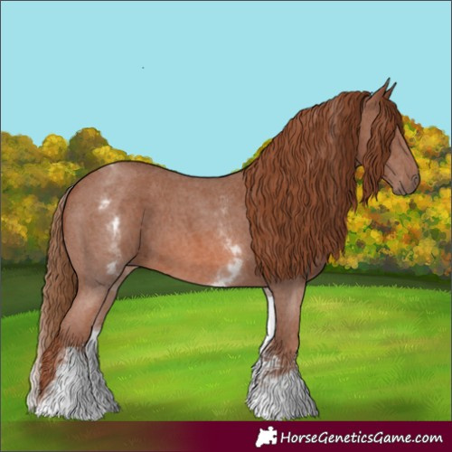 Horse Color:White Spotted Chestnut Sabino