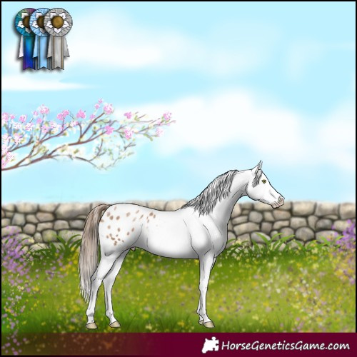 Horse Color:White Spotted Liver Chestnut Pearl Blanket 