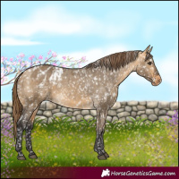 Horse Color:Buckskin Dun Snowflake Varnish  and Buckskin Dun Snowflake Varnish 