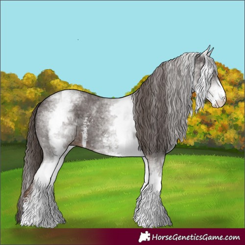 Horse Color:White Spotted Liver Chestnut Sabino 
