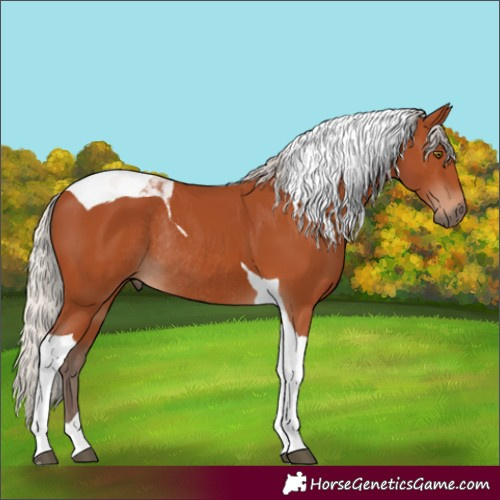 Horse Color:Silver Bay Tobiano Rabicano 