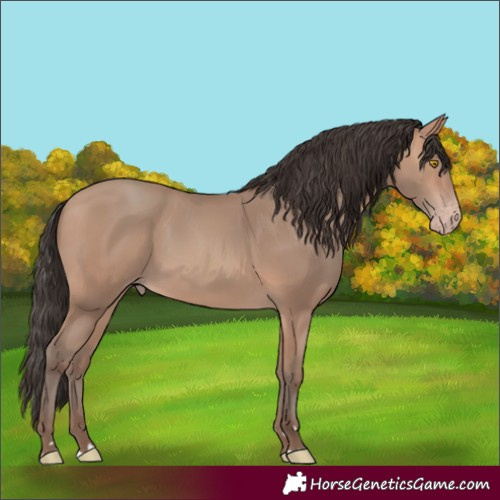 Horse Color:Amber Champagne 