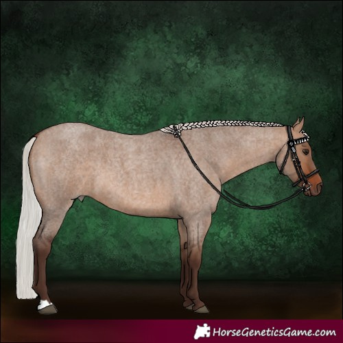 Horse Color:Silver Brown Roan Dun 