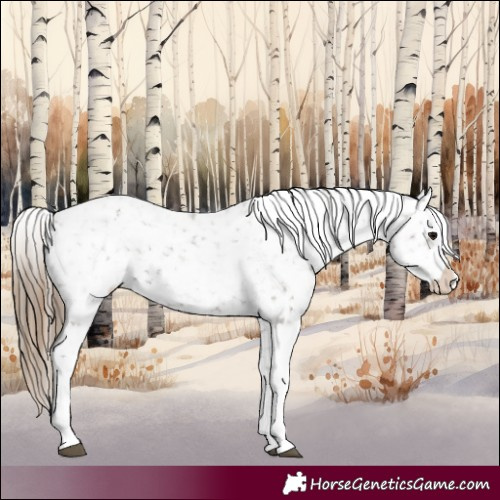 Horse Color:Smoky Grullo Snowflake Varnish  and Smoky Grullo Snowflake Varnish 