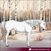 Horse Color:Smoky Grullo Snowflake Varnish  and Smoky Grullo Snowflake Varnish 