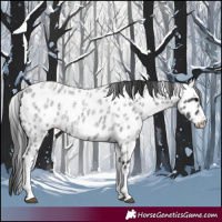 Horse Color:White Spotted Blue Roan Splash Frame Leopard 