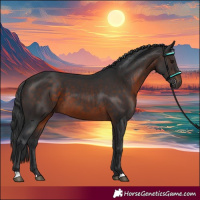 Horse Color:Brown 