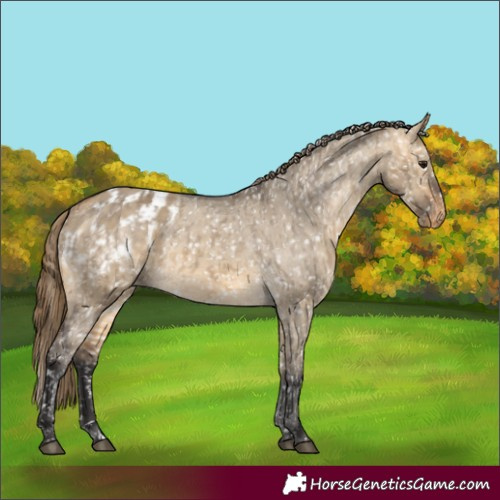 Horse Color:Buckskin Dun Snowflake Varnish and Buckskin Dun Snowflake Varnish