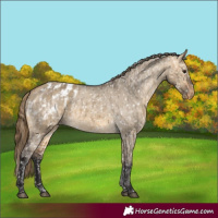Horse Color:Buckskin Dun Snowflake Varnish  and Buckskin Dun Snowflake Varnish 