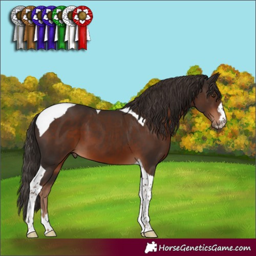 Horse Color:Liver Chestnut Tobiano 