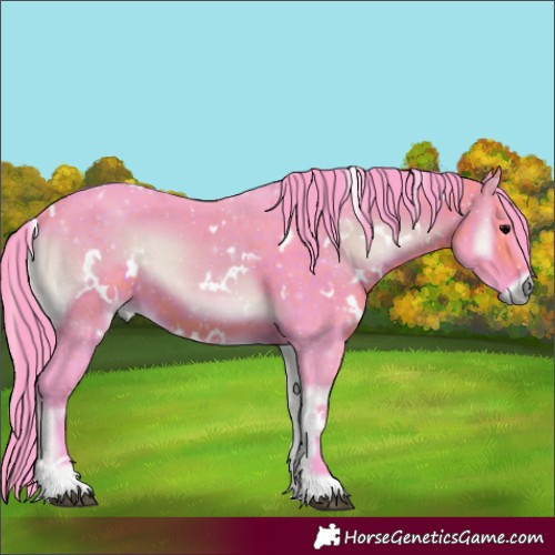 Horse Color:Watercolor White Spotted Chocolate Brown Onyx 