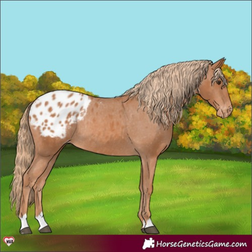 Horse Color:Unknown 